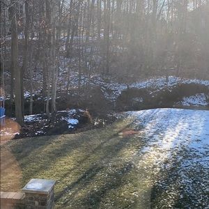 Meet your Posher, Matt